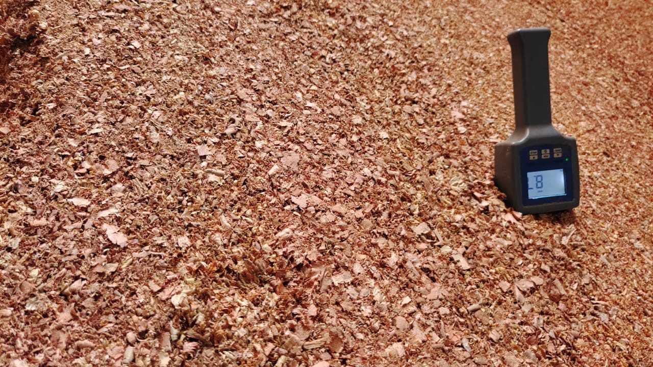 wood chip new